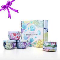 Tooarts Scented Candles Gift Set 100% Natural Soy Wax Portable Travel Candle, Aromatherapy Candles Womens Gifts, Charming Fragrance Home Decor, Set of 4