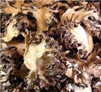 OliveNation Maitake Mushrooms 4 oz