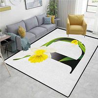 YucouHome Letter D Moiré Kids' Rugs, Black D Silhouette Entangled with Growing Daffodils Artistic with Flowers, Durable Carpet Area Rug - Living Dinning Room Bedroom Rugs and Carpets(2.5'x 7')