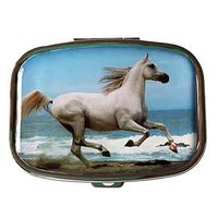White Horse Silver Two Section Rectangular Pocket/Purse/Travel Pill Box
