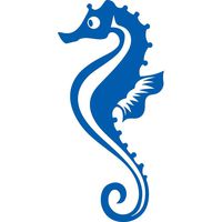ANGDEST Seahorse (Azure Blue) (Set of 2) Premium Waterproof Vinyl Decal Stickers for Laptop Phone Accessory Helmet Car Window Bumper Mug Tuber Cup Door Wall Decoration