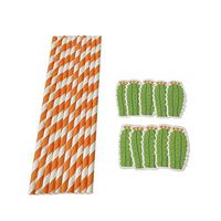 Molyveva Premium Paper Drinking Straws Biodegradable Paper Straws for Holiday Anniversary Birthday Graduation Wedding Bridal & Baby Parties - Fun Paper Straws Cactus Themes - Pack of 10 Peices