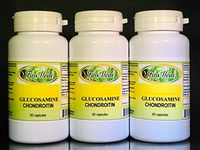 Glucosamine Chondroitin + MSM - 180 (3x60) Capsules