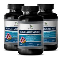 Eyesight Supplements - ECHINACEA and GOLDENSEAL Root - Goldenseal echinacea - 3 Bottles 300 Capsules