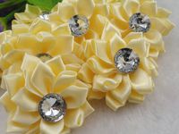 20pcs Satin The Ribbon Flowers with The Appliques Craft DIY Wedding Mix Upick (Beige)
