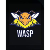 Stuch Strength LLC Funny Wasp - Angry Face with Wings - Insect Humor - Transparent Sticker