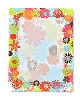 Fiesta Laser & Inkjet Printer Paper - 40 Pack