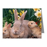 Note Card Spring Easter Bunny Rabbits