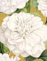 Christmas Tags Christmas Gift Tags Holiday Gift Tags with Envelope Camellia Garden Gold 4 Pc. 3.5" x 2.5"