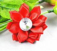 24pc Satin The Ribbon Flowers with The Appliques Craft DIY Wedding to(Pick Color (Red)