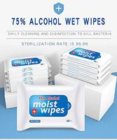 75% Alcohol Disinfectant Cotton Slices, Sterile Alcohol Prep Pads Gauze Pads Individually Wrapped Swap Pad Wet Wipe for Outdoor Skin Cleaning Care 10 Packs,100Wipes