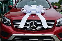 CarBowz Big Car Bow, Giant Bow, Non Scratch Magnet, Weather Resistant Vinyl (White)