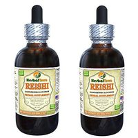 Reishi Mushroom (Ganoderma Lucidum) Tincture, Organic Dried Mushrooms Liquid Extract (Brand Name: HerbalTerra, Proudly Made in USA) 2x4 fl.oz (2x120 ml)