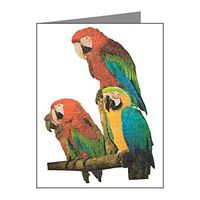 Note Card Family of Parrots