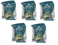 10 Glade PLUGINS SCENTED OIL REFILLS Warm Flannel Embrace Limited 5 Twin Packs