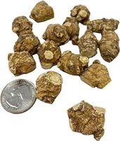 DOL Hand Selected Cultivated Wisconsin American Ginseng Pearl Short Size S-M# 3~4 Years Ginseng 4OZ=113g