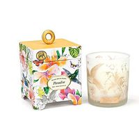D&M Michel Design Works Paradise Scented Candle - 6.5 Oz.