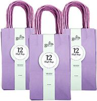 Gift Expressions Paper Gift Bags, 36 Count, Lavender Kraft Paper Bags, 5.25” x 8.5” x 3.5", 100% Recycled, Thick & Durable Eco Friendly Paper Bags with Handles, Goodie Bags, Party Bags
