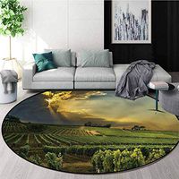 RUGSMAT Winery Modern Machine Washable Round Bath Mat,France Sunset Vineyard Living Dinning Room and Bedroom Rugs Round-71