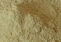Tongkat Ali (Long Jack) Powder (1 lb)