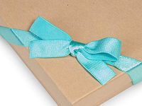 Satin Stretch Wide Loop Elastic Pre-Tied Bow - 8" Loop - Aqua