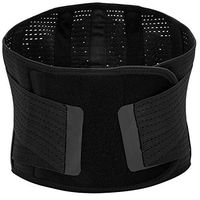 Lumbar Support Back Brace, Breathable Mesh Five Steels Plate Protection, Back Waist Support Belt for Man and Woman(Plus Size) (L)