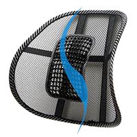 WinnerEco Black Mesh Lumbar Back Brace Support Office Home Car Seat Chair Cushion