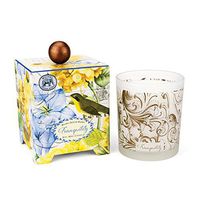Michel Design Works Gift Boxed Soy Wax Candle, 14-Ounce, Tranquility