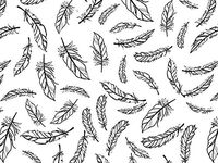 Black Feathers Print Design Gift Grade Tissue Paper Sheets - 15" x 20" Choose Package Amount (5)