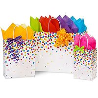 NW Rainbow Confetti Paper Shopping Bags - Assortment of 3 Size - 375 Pack