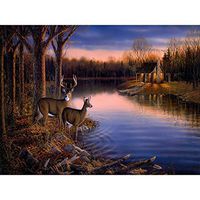 Meidexian888 DIY 5D Diamond Painting,Embroidery Paintings Rhinestone Pasted DIY Diamond Painting Cross Stitch (A)