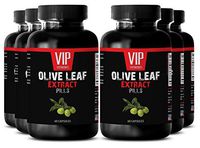 Blood Sugar Support - Olive Leaf Extract - Blood Sugar Health - 6 Bottles 360 Capsules