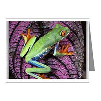 Note Cards (10 Pack) Red Eyed Tree Frog on Purple Leaf