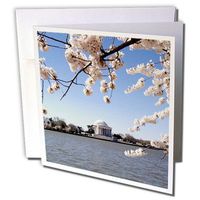 3dRose USA, Washington DC, Cherry Blossom, Jefferson Memorial - US09 LFO0182 - Lee Foster - Greeting Cards, 6 x 6 inches, set of 6 (gc_143525_1)