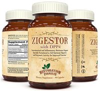 Digestive Formula - Restoration Formulas - Zigestor with DPP4 - 90 Capsules (1 Month) - Support Leaky Gut - Gastrointestinal & Inflammatory Resistance Support - Boosts Immune System & Mental Clarity