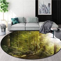 Nature Area Rugs Ring 3D Non-Slip Rug,Sunny Rainforest Wood Bench Perfect for Any Room, Floor Carpet Round-63