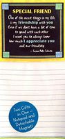 Notepad with Detachable Magnet: Special Friend, 3.5" x 7.0"