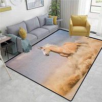YucouHome Horses Geometric Door Mats Area Rug, Palomino Horse in Sand Desert with Long Blond Male Hair Power Wild Animal, Fashionable High Class Living Bedroom Rugs(2'x 6') Purple Grey Peach