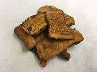 大黄 (酒炙大黄) | Radix et Rhizoma Rhei (Processed with Wine)