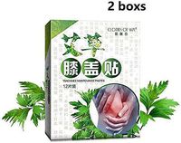 12pcs/Box Knee Moxa Hot Moxibustion Plaster Leg Pain Relief Wormwood Sticker Self Heating Warming meridians Patches Plaster (2 Boxes)