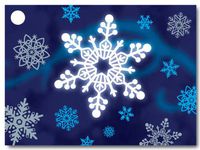 Winter Wonderland Theme Gift Cards3-3/4x2-3/4" (30 unit, 6 pack per unit.)