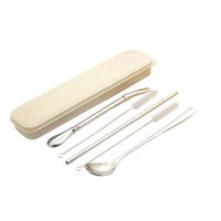 Whitegeese Drinking Set Stainless Straws and Spoon Detachable Reusable Set of Stainless with Cleaning Brush Box (D)