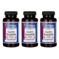 Swanson Gastric Essentials 60 Veg Capsules Enzyme (3 Pack)