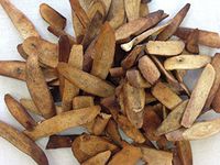 炒白芍 | Heated White Peony Root