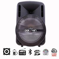 Dolphin Dual 10" Bluetooth Party Speaker with Neon Style Lights and WaveSync (w/Wireless Mic)