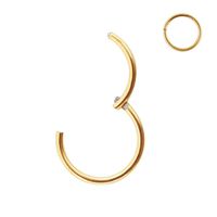 16g Cartilage Earring Hoop 12mm Helix Earring 316L Surgical Steel Hoop Earrings for Women Nose Rings Hoop 14k Gold Nose Ring 16 Gauge Nose Hoop Conch Helix Earring Lip Rings Nose Piercing Jewelry