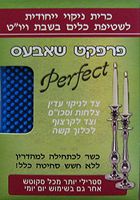 Silicone Shabbath Kosher Sponge/Blue