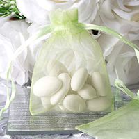 Tableclothsfactory 10PCS Mint Organza Gift Bag Drawstring Pouch Wedding Favors Bridal Shower Treat Jewelry Bags - 3"x4"