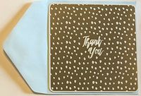 Silver Foil Embellished Thank You Note Cards and Envelopes- 16 Single Panel Note Cards and Envelopes