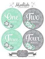 12 Monthly Baby Stickers, Mint & Gray, Flowers, Girl, Baby Belly Stickers, Baby Month Stickers, First Year Stickers Months 1-12, Mint, Grey, Baby Girl